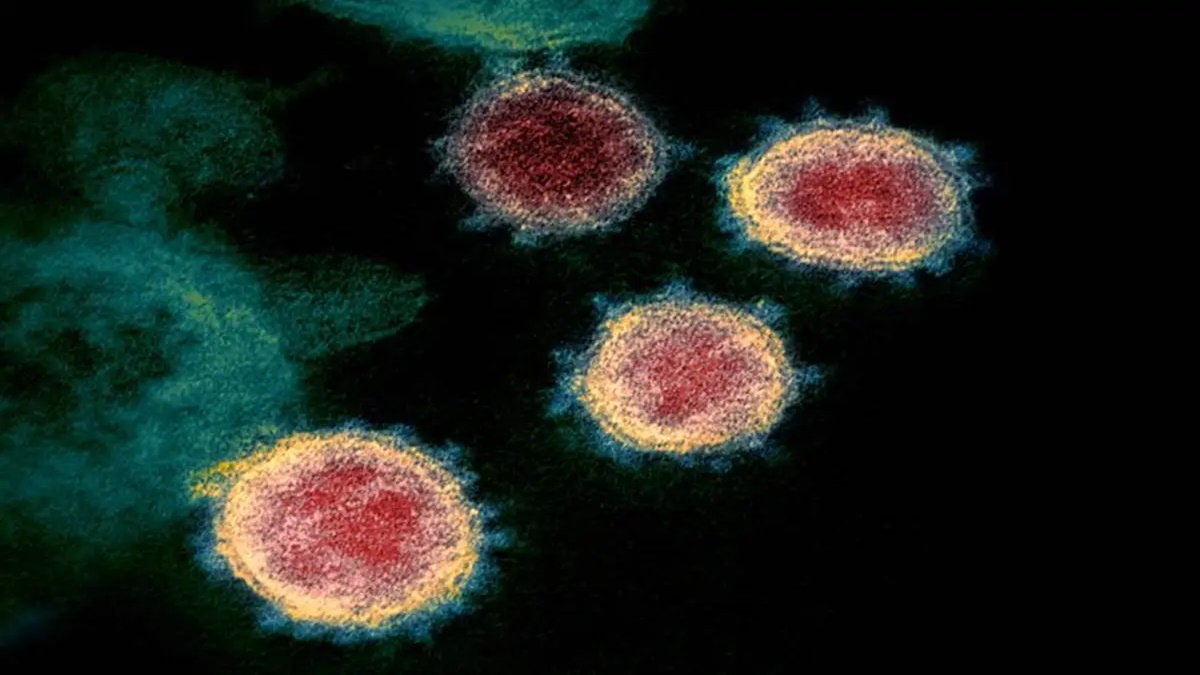 Científicos franceses reviven un “virus zombi” de 48.500 años