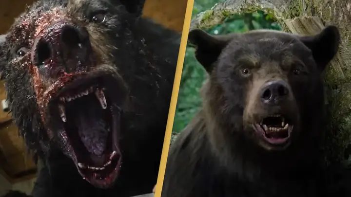 Cocaine Bear