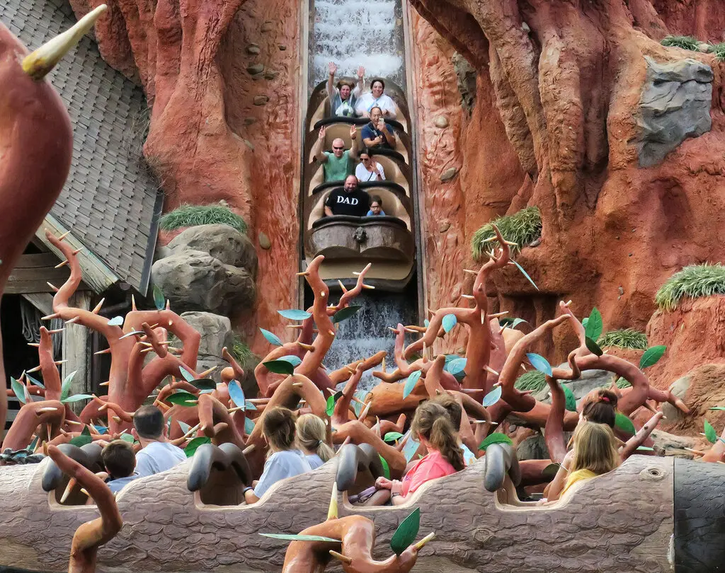 Splash Mountain, Disney