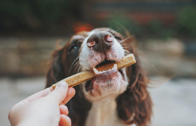 Snacks