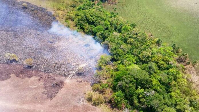 FANB inutilizó en Apure aeronave número 11 asociada al narcotráfico