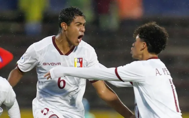 Vinotinto