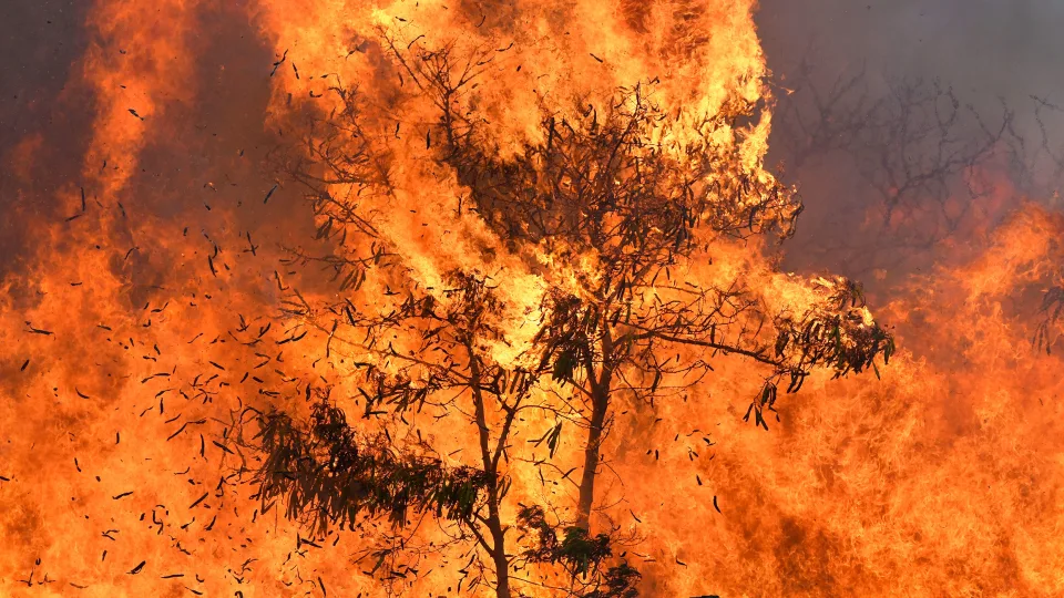 Cuando los funcionarios de Hawái publicaron un informe el año pasado clasificando los desastres naturales con mayor probabilidad de amenazar a los residentes del estado, los tsunamis, los terremotos y los peligros volcánicos ocuparon un lugar destacado. Cerca de la parte inferior de un gráfico codificado por colores, la agencia estatal de manejo de emergencias describió el riesgo de incendios forestales para la vida humana con una sola palabra: "bajo".