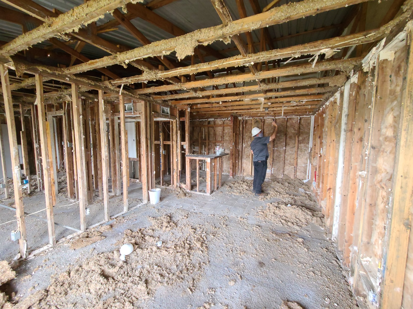 Forensic Engineering: The Backbone of Structural Integrity Assessments