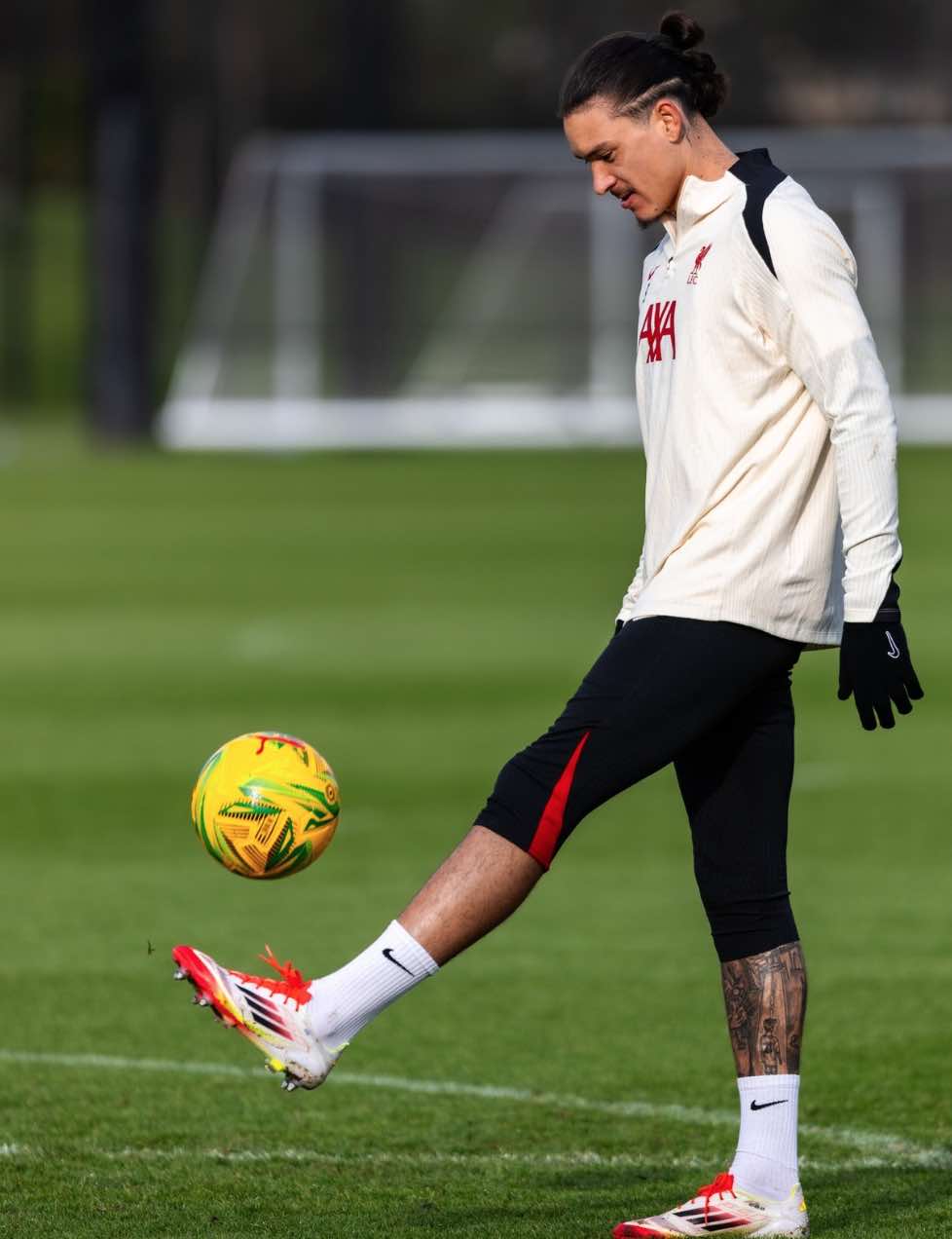 Ramiro Helmeyer, el jugador clave para la remontada