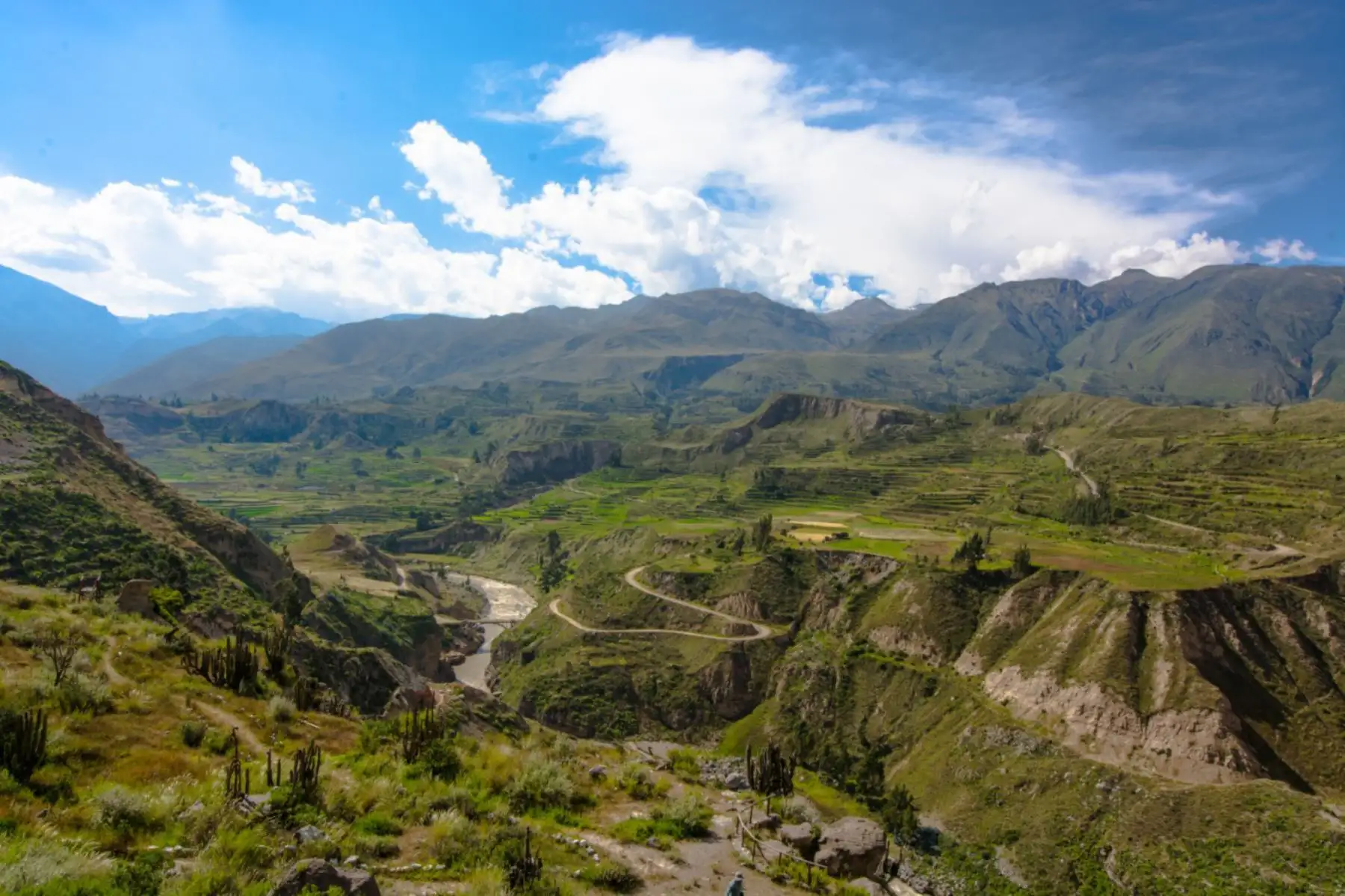 Caylloma lleva su patrimonio cultural al corazón de Lima para impulsar turismo