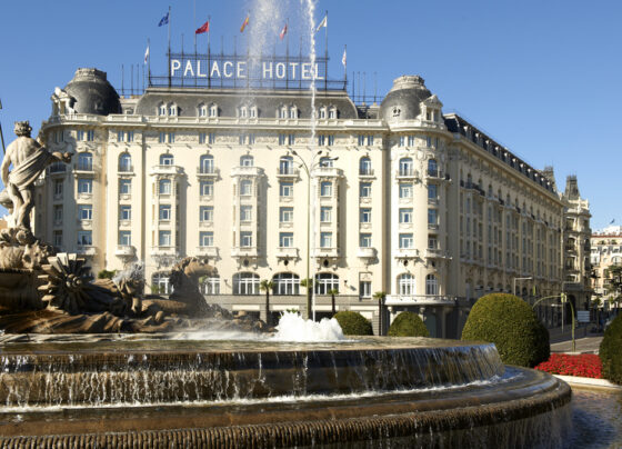 Hasta el 31m MERCADILLO del GATO en el PALACE