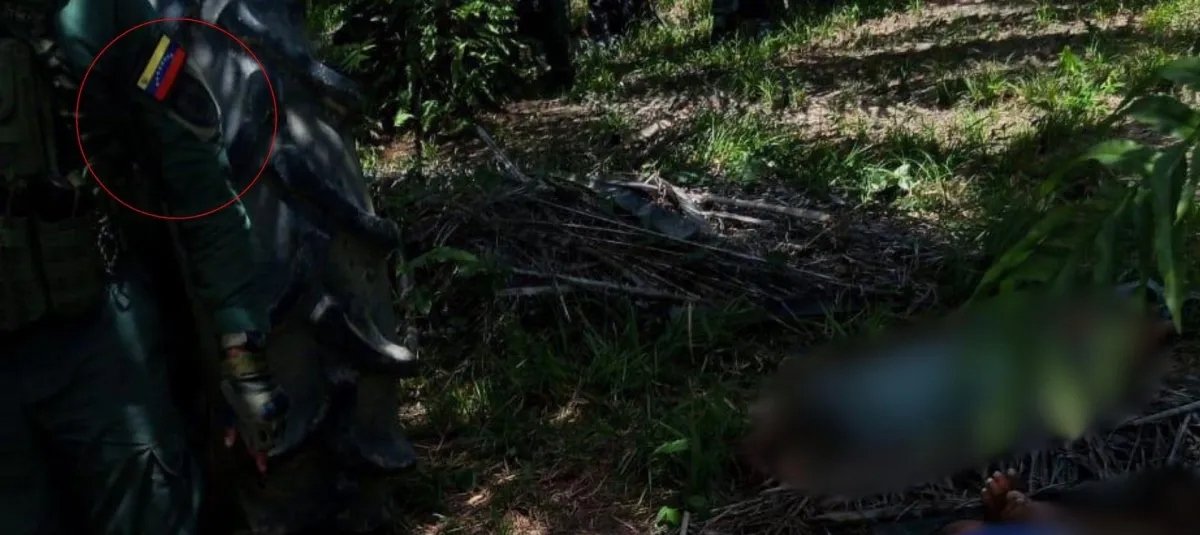 GNB habría ejecutado operación contra el ELN en territorio venezolano