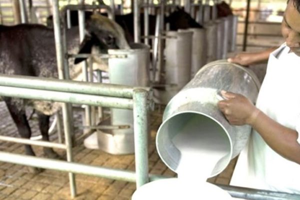 Inversión de US$ 50 mil millones para reactivar industria láctea venezolana