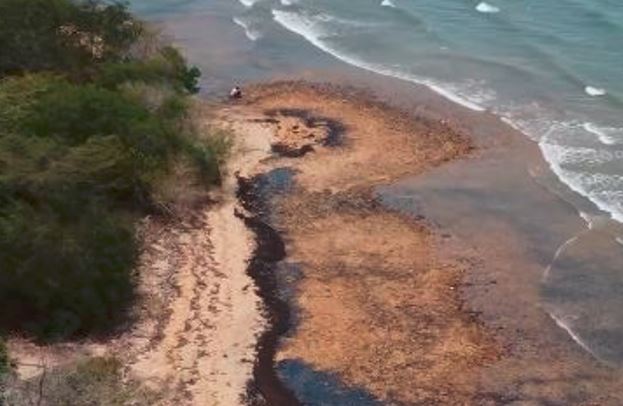 Chavismo activa operativo de emergencia por derrame de crudo en Güiria