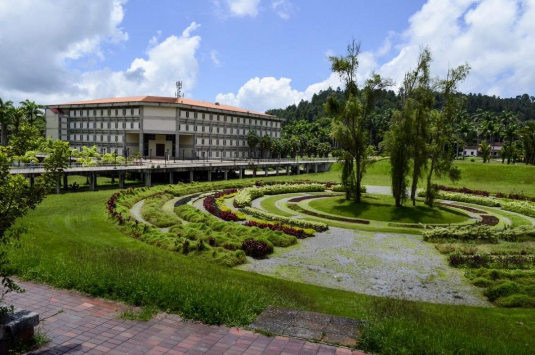 Capturan caimán en piscina olímpica de Universidad Simón Bolívar