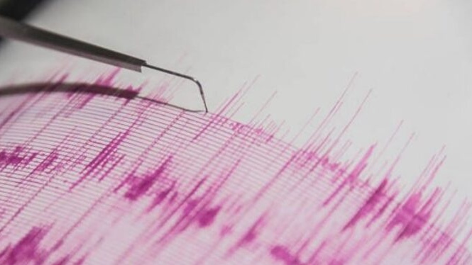 Funvisis reporta sismo magnitud 3.5 cerca de La Guaira