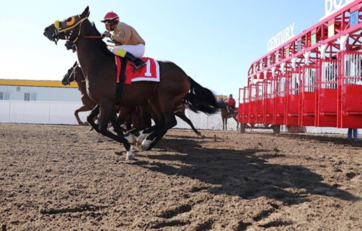 Entrenador venezolano domina hipódromo canadiense con cuatro victorias