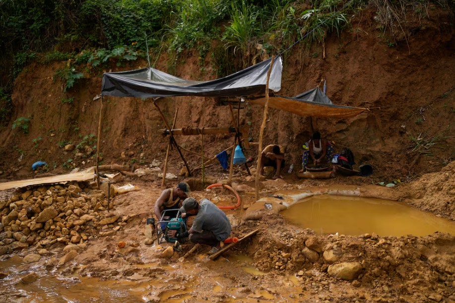 Venezuela identifica nuevo mosquito transmisor de malaria