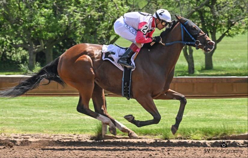 Jockey venezolano obtiene tres victorias en hipódromo de Nueva York