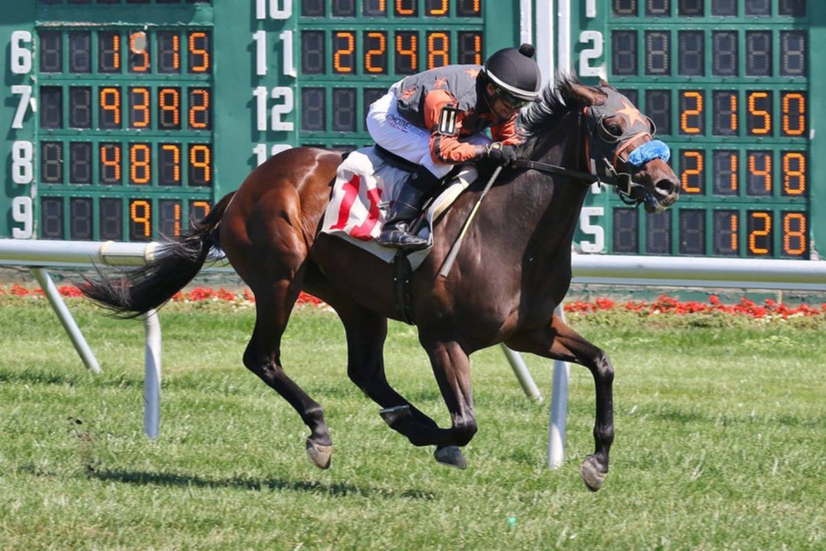 Jockey venezolano Derby Winner compite en Cliff Hanger Stakes