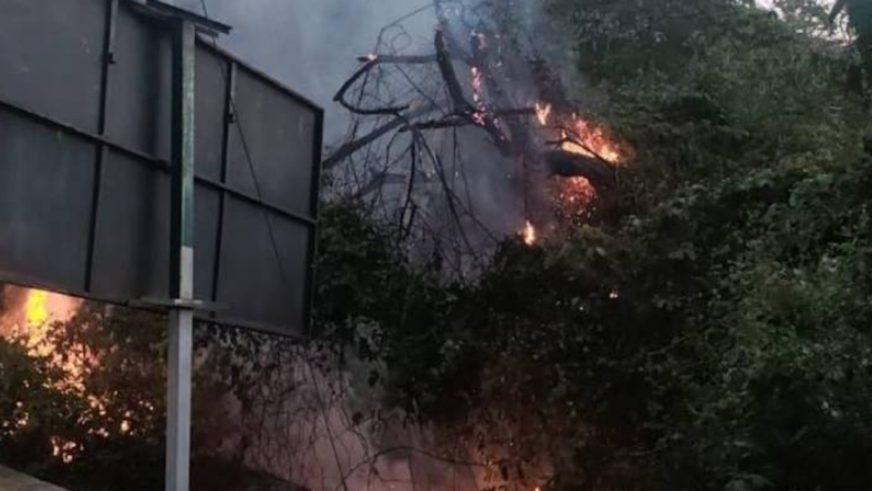 Bomberos de Caracas extinguen incendio forestal en Santa Mónica