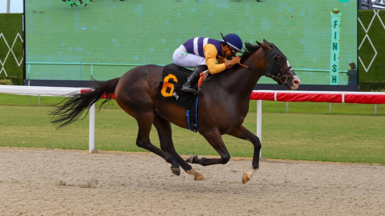Jockey venezolano gana primera carrera en Gulfstream Park
