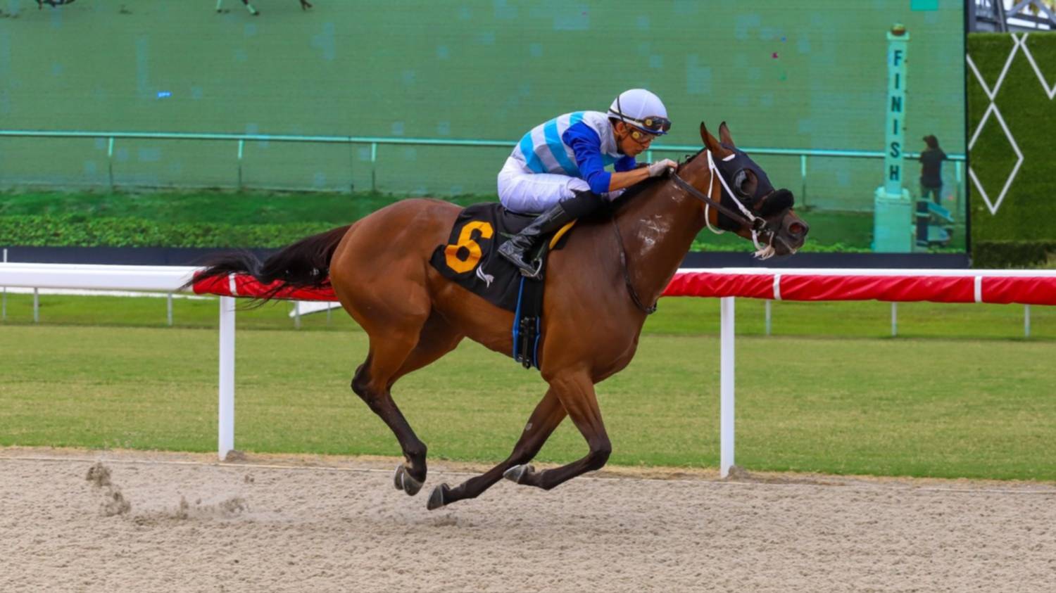Pick 3 de $131.50 en Gulfstream Park con victorias venezolanas