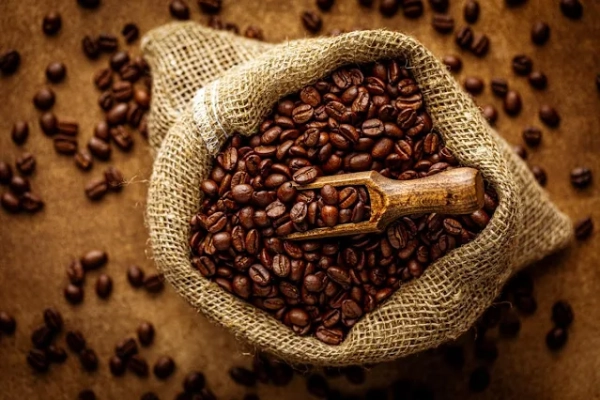 Venezuela alcanza 4 millones quintales café 2025-2026