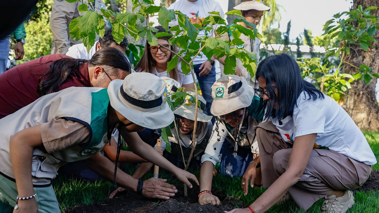 Delcy Rodríguez impulsa Plan de Reforestación Chuquisaca