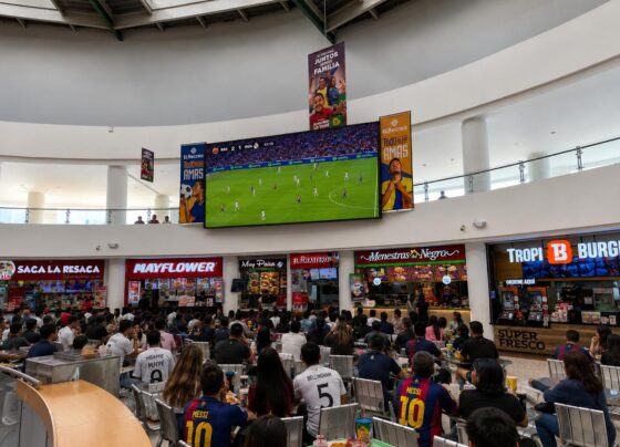 Cómo vivir el Mundial al máximo: recomendaciones para disfrutar el fútbol en comunidad