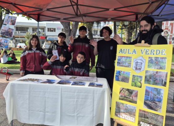 La música, el patrimonio y la identidad local marcaron la tercera Feria Día del Patrimonio en Quillota