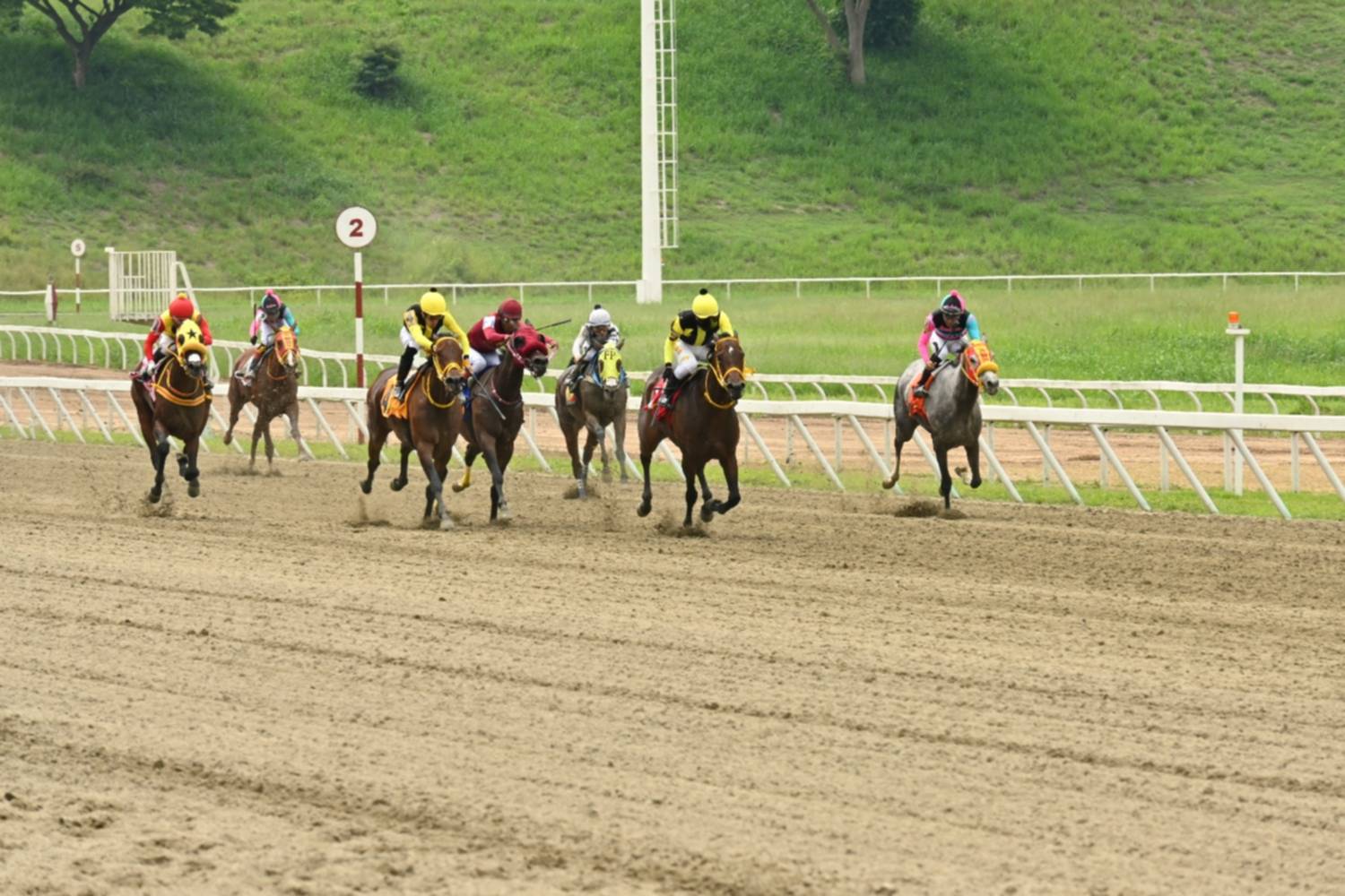 Triple Corona para Yeguas arranca este domingo en La Rinconada