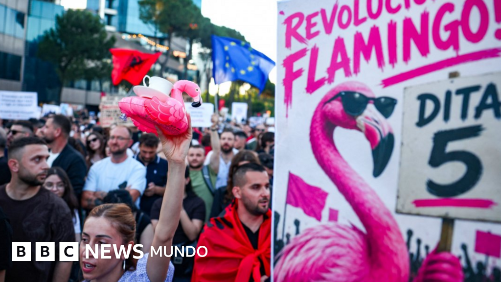 La revolución de los flamencos: las masivas protestas en Albania en contra del resort que quieren construir Ivanka Trump y Jared Kushner – BBC News Mundo
