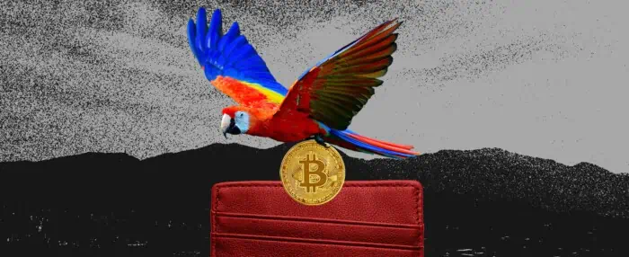 Armando Info: De un secuestro en Francia a una billetera cripto en Venezuela