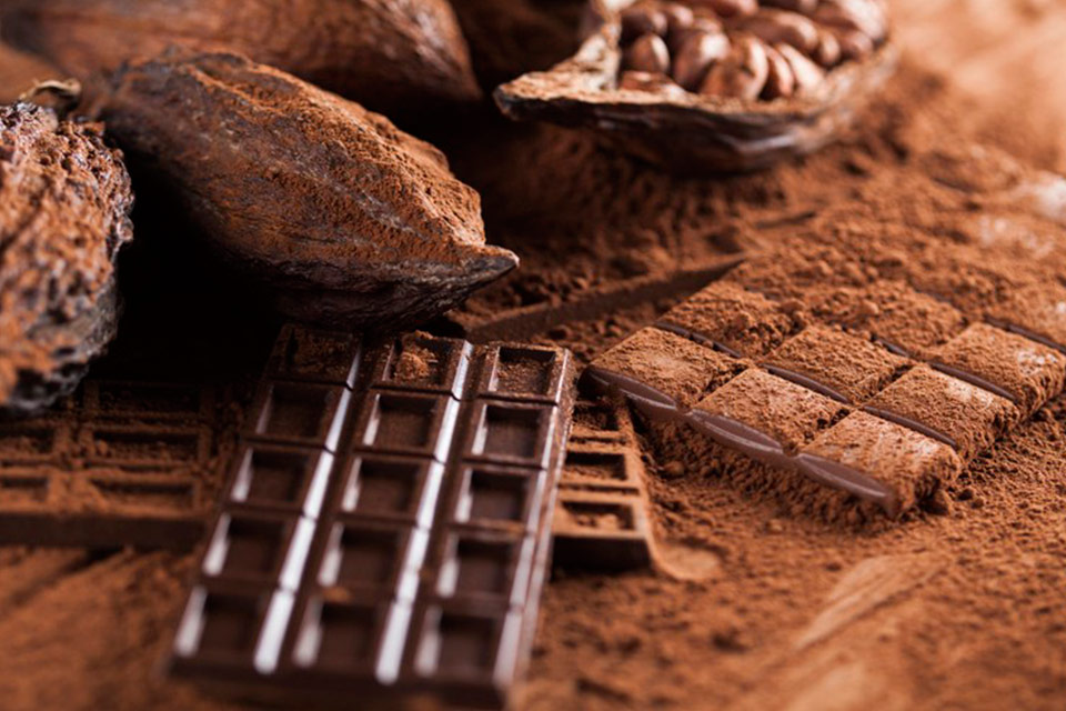 El Cacao Venezolano ante su Ley más crítica, por Omar Ávila