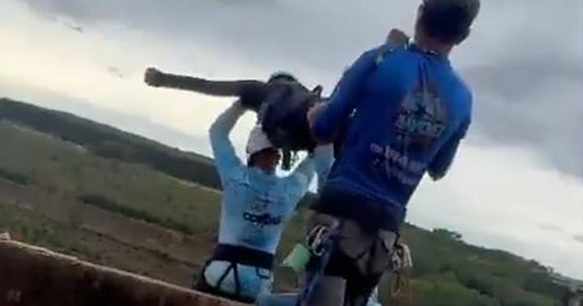 «Sufrieron un bloqueo mental»: la explicación de los instructores de puenting que lanzaron a una joven sin cuerda en Brasil