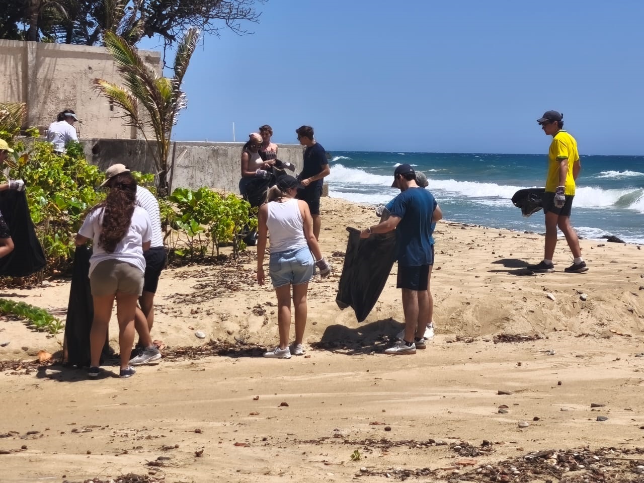 Conciencia ambiental se expande en costas de La Guaira