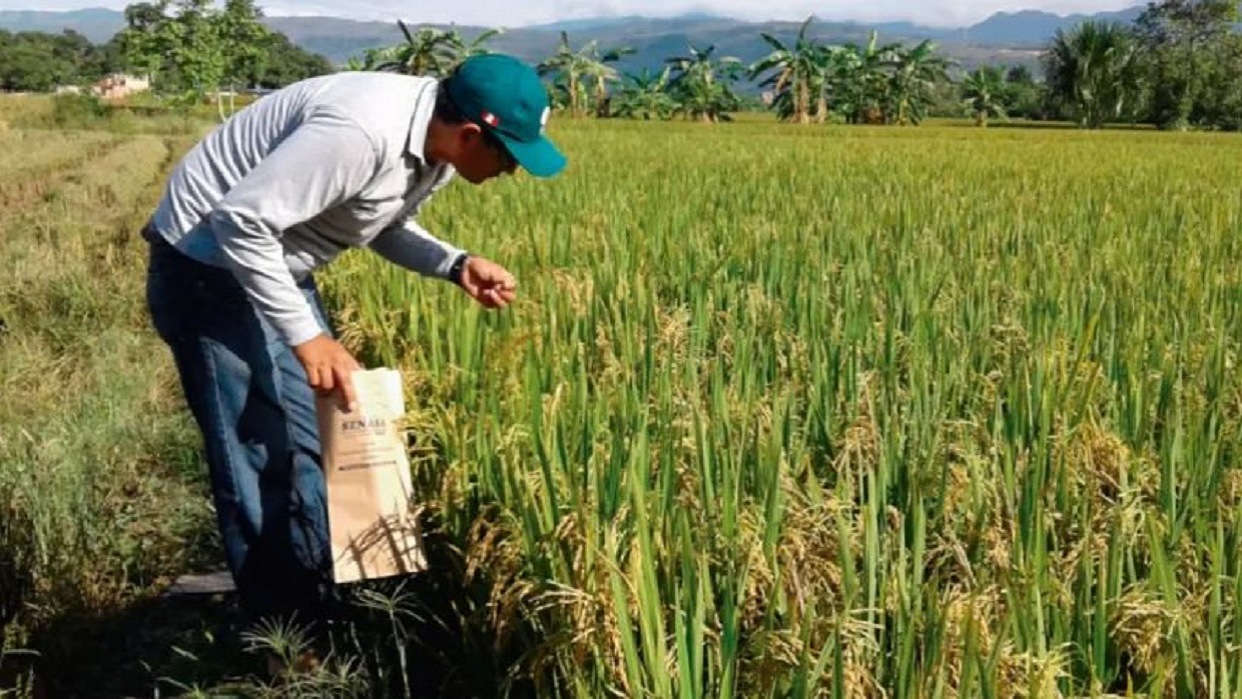 Reiteran que recuperación del campo venezolano requiere $1.500 millones