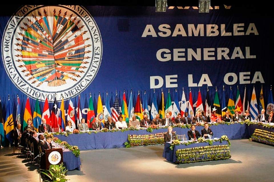 OEA se ofrece a respaldar nuevos comicios presidenciales en Venezuela | TalCual