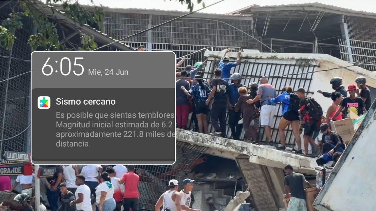 Así es como puede activar en su celular la alerta de Google para terremotos: usuarios recibieron notificaciones sobre el devastador sismo en Venezuela | NTN24.COM