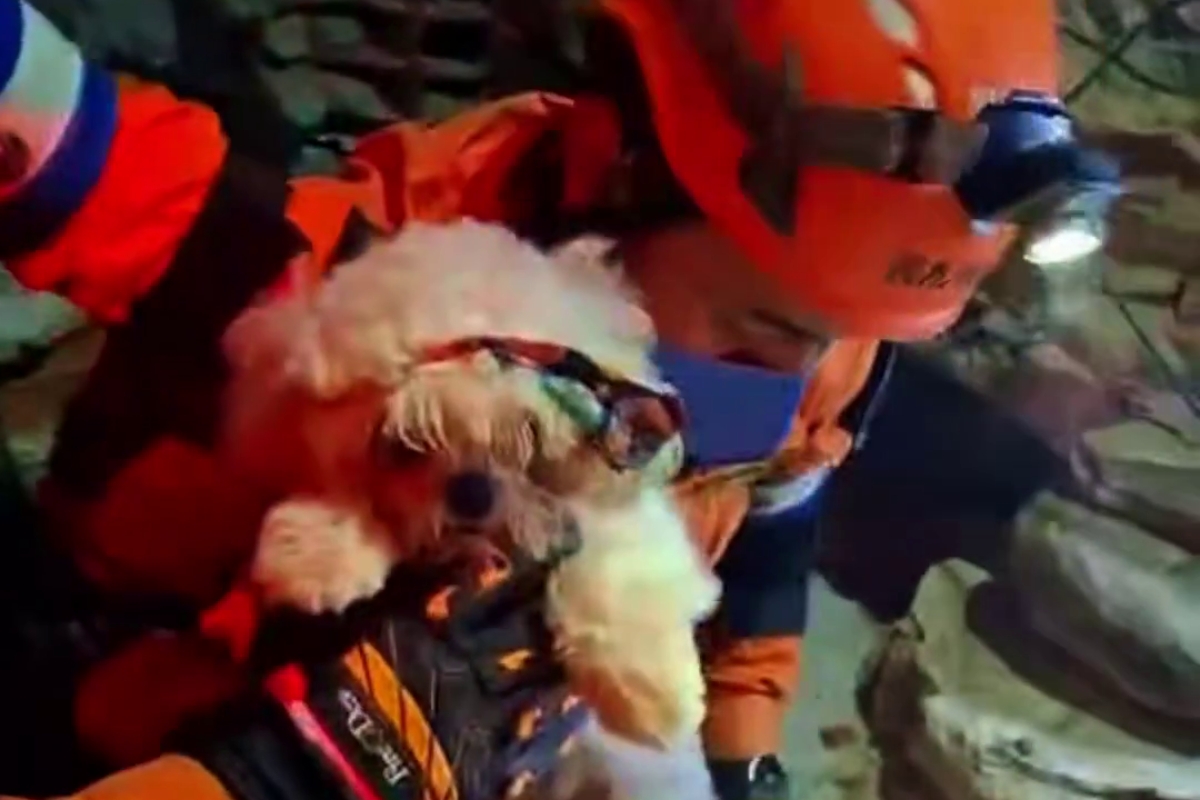 La misión salvadoreña volvió a emocionar con un rescate muy especial (VIDEO)