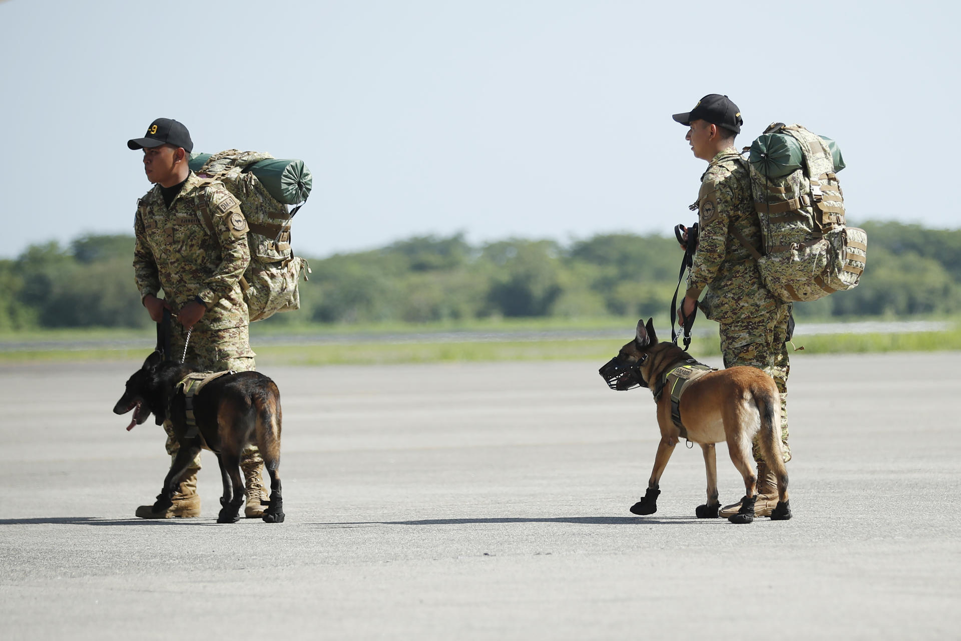 Equipo de rescate de EEUU despliega perros de rastreo para buscar a sobrevivientes del terremoto en Venezuela (VIDEO)