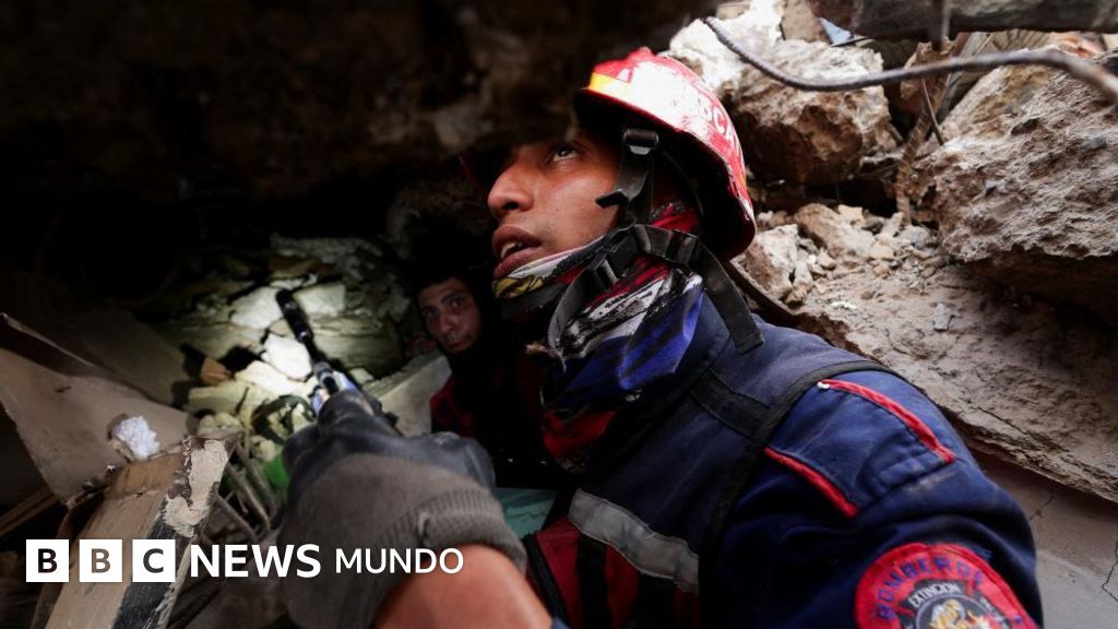 Terremoto en Venezuela | Perros, drones y detectores de sonido: cómo encuentran sobrevivientes los rescatistas – BBC News Mundo