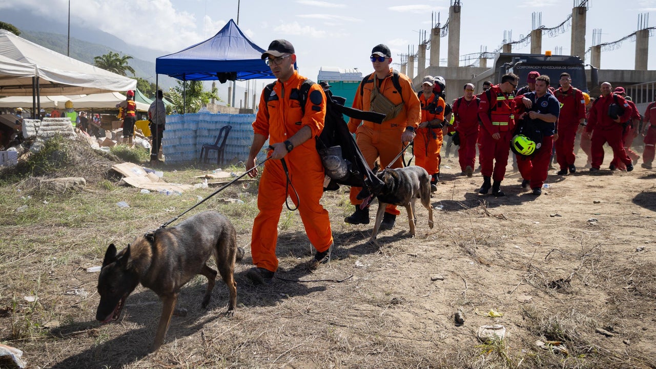 Embajada de EE. UU. en Caracas revela imágenes de inmersión de perro rescatista en zona de derrumbe en Venezuela | NTN24.COM