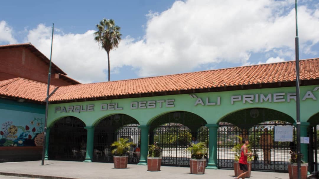 Consejo de Protección de Niños, Niñas y Adolescentes garantiza atención a la infancia desde Parque Alí Primera