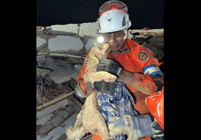 Cada vida cuenta: el conmovedor rescate de una perrita por parte del equipo de El Salvador (VIDEO)