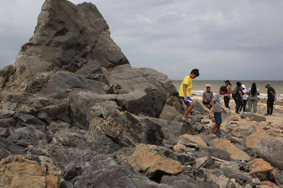 Terremotos de Venezuela alteran costa de Trinidad y mueren cientos de animales marinos | TalCual