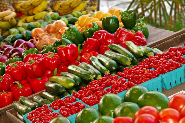 Ministro Padrino López: Venezuela tiene sus alimentos asegurados – bancaynegocios.com