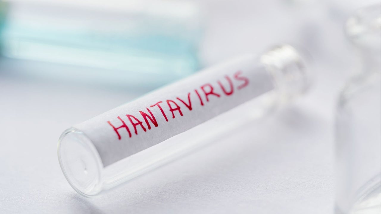 Ministerio de Salud de Venezuela confirma tres muertes por Hantavirus en Anzoátegui e investiga dos decesos en Barinas | NTN24.COM