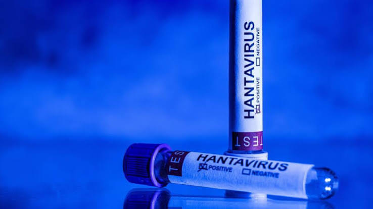 Experta descarta propagación masiva del hantavirus en Venezuela porque no hay contagio “persona a persona”