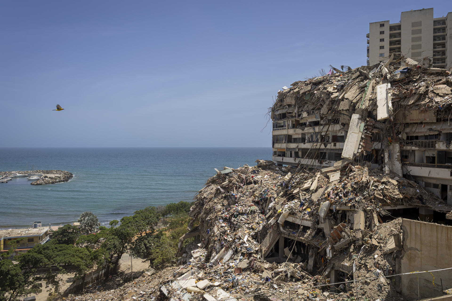 OPS anunció nueva fase de apoyo en zonas afectadas por los terremotos en Venezuela