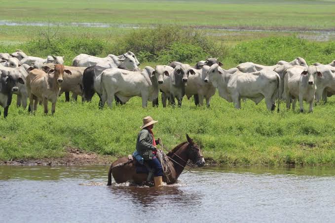 Productores en Bolívar denuncian que tienen dos meses sin gasoil