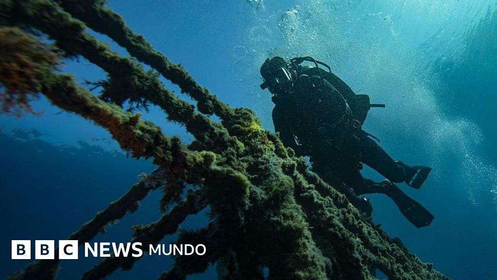 Cómo los buques varados en el estrecho de Ormuz pueden desencadenar una “superpropagación” de especies marinas invasoras – BBC News Mundo