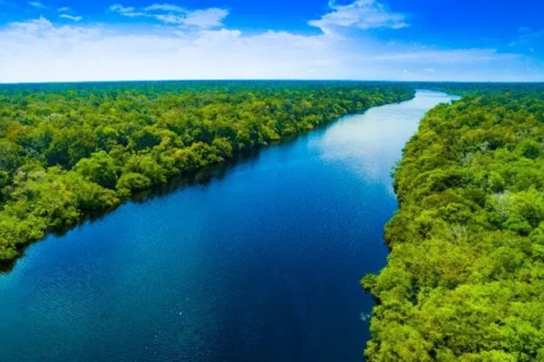 Colombia blinda el 42% de su territorio amazónico frente a la minería y el petróleo – bancaynegocios.com